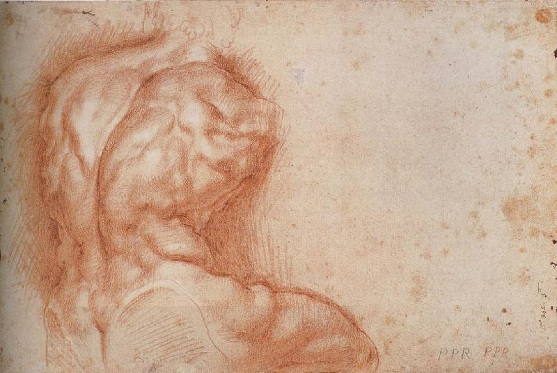 Peter Paul Rubens Facsimile form Torso belvedere